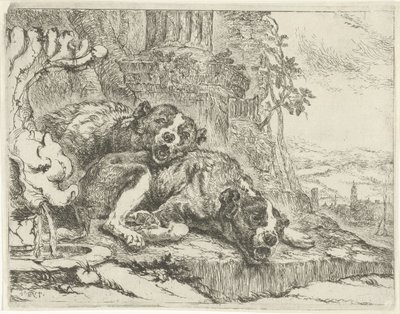 Two Lying Dogs by Jan Fyt